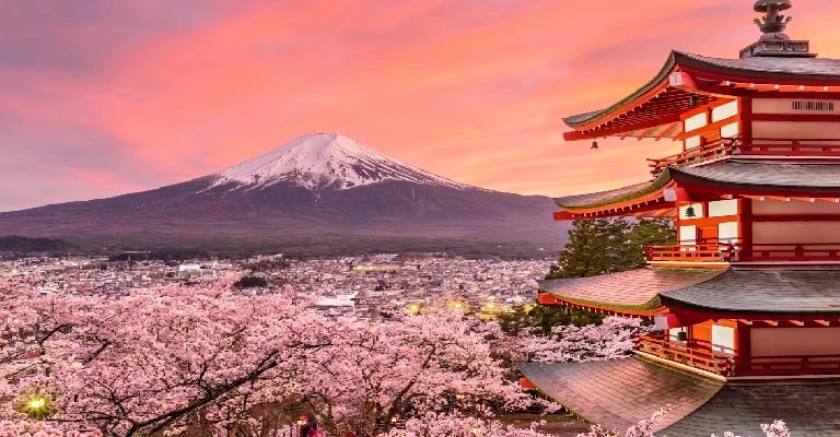 Tokyo & Kyoto Discovery